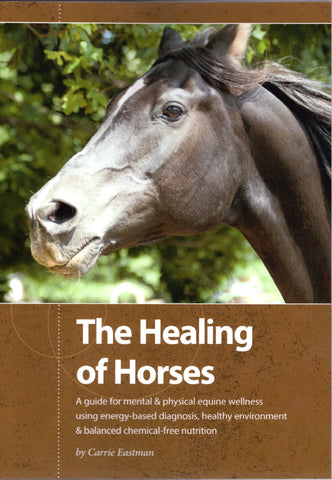 The Healing of Horses