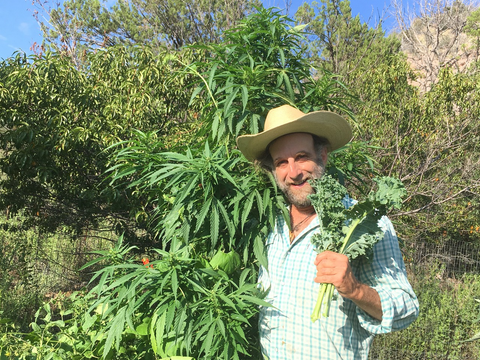 Hemp Gardening : Growing Food Security and Fighting Climate Change