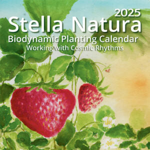 2025 Stella Natura Biodynamic Planting Calendar – Acres U.S.A. ®