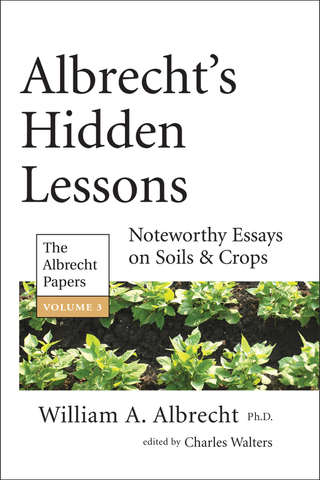 Albrecht's Hidden Lessons front cover