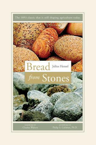 Front cover image of the book Bread From Stones