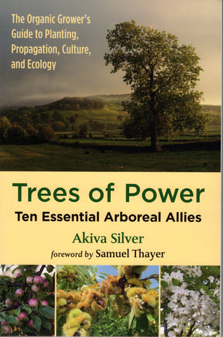 Trees of Power front cover
