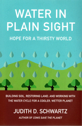 Water in Plain Sight front cover