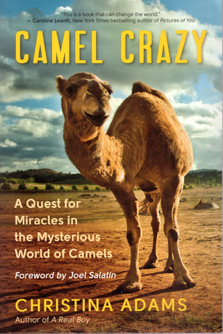 Camel Crazy front cover
