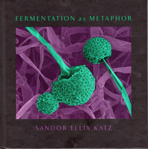 Fermentation as Metaphor front cover