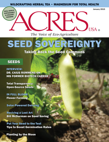 January 2019 Issue