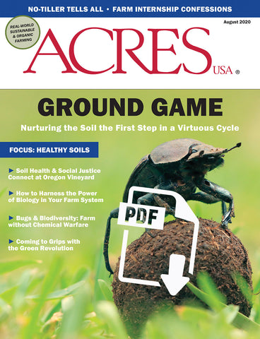 August 2020 Issue PDF