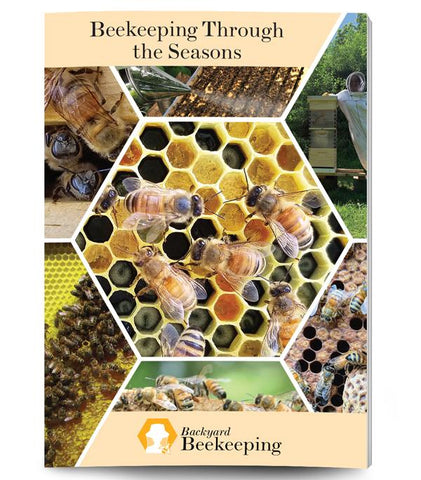 Beekeeping Through the Seasons Guide