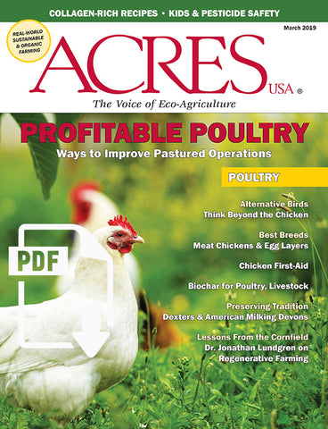 March 2019 Issue PDF